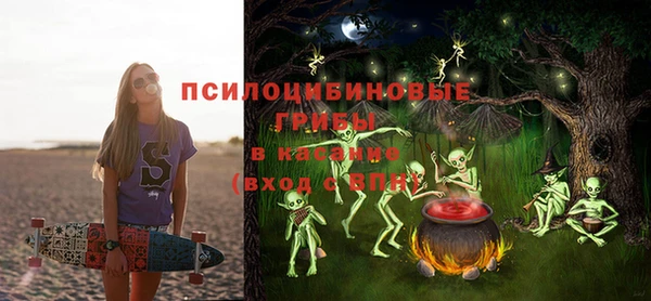 метадон Лагань